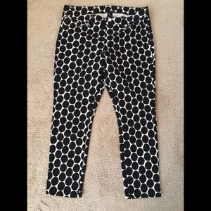 NWOT HUE Stretch Polka Dot Capri Jean Leggings L